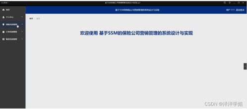 朝阳保险公司营销管理系统（SSM框架）设计与实现——新手入门指南