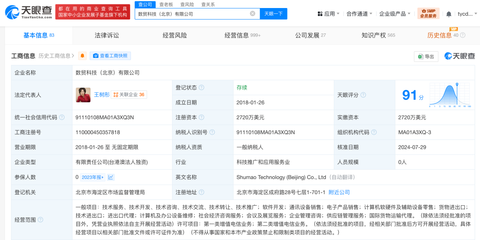 敦煌网创始人 从清华女教师到电商领军者的跨界传奇