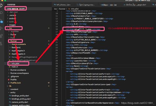 Flutter开发中设置iOS应用名称与图标 从配置到发布的完整指南
