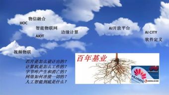安防芯片 计算机软硬件融合创新的驱动力与市场洞察